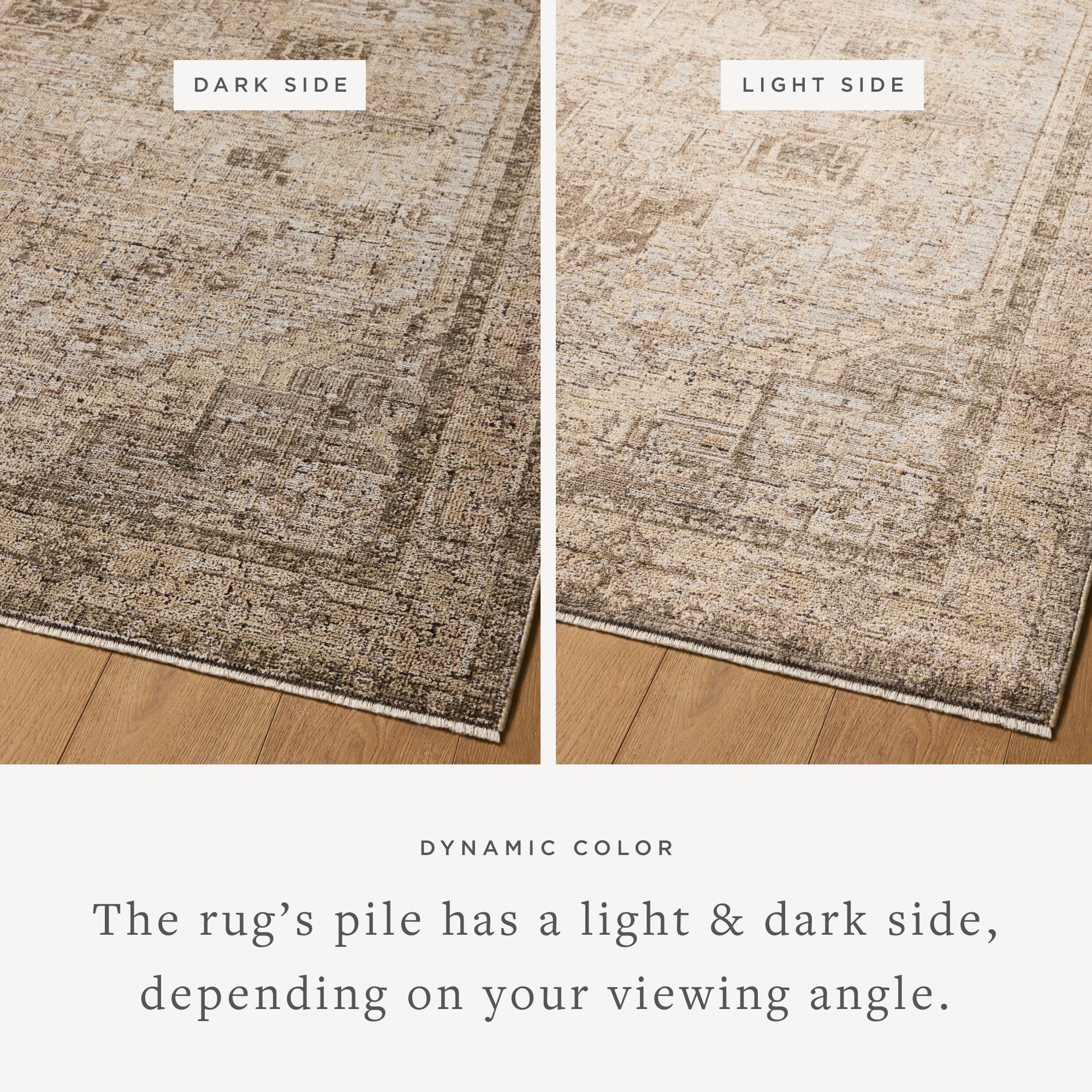 Loloi Priscilla Beige / Earth Square Rug RUGS - synthetic Loloi