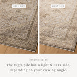 Loloi Priscilla Beige / Earth Rug RUGS - synthetic Loloi 18" x 18" sample