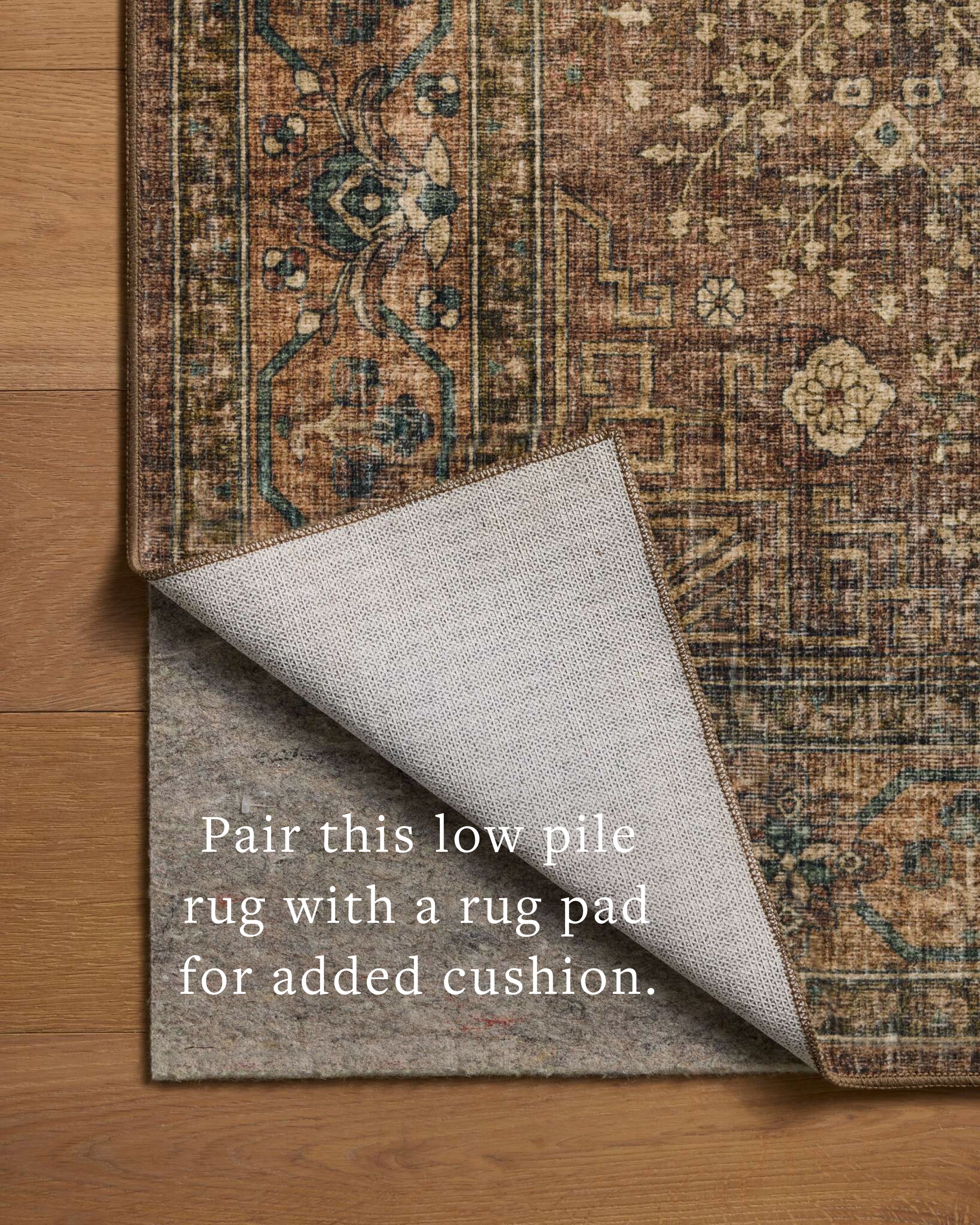 Chris Loves Julia x Loloi Ramona Spice / Multi Rug - Rug & Weave