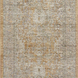 Chris Loves Julia x Loloi Rosemarie Gold / Sand Rug