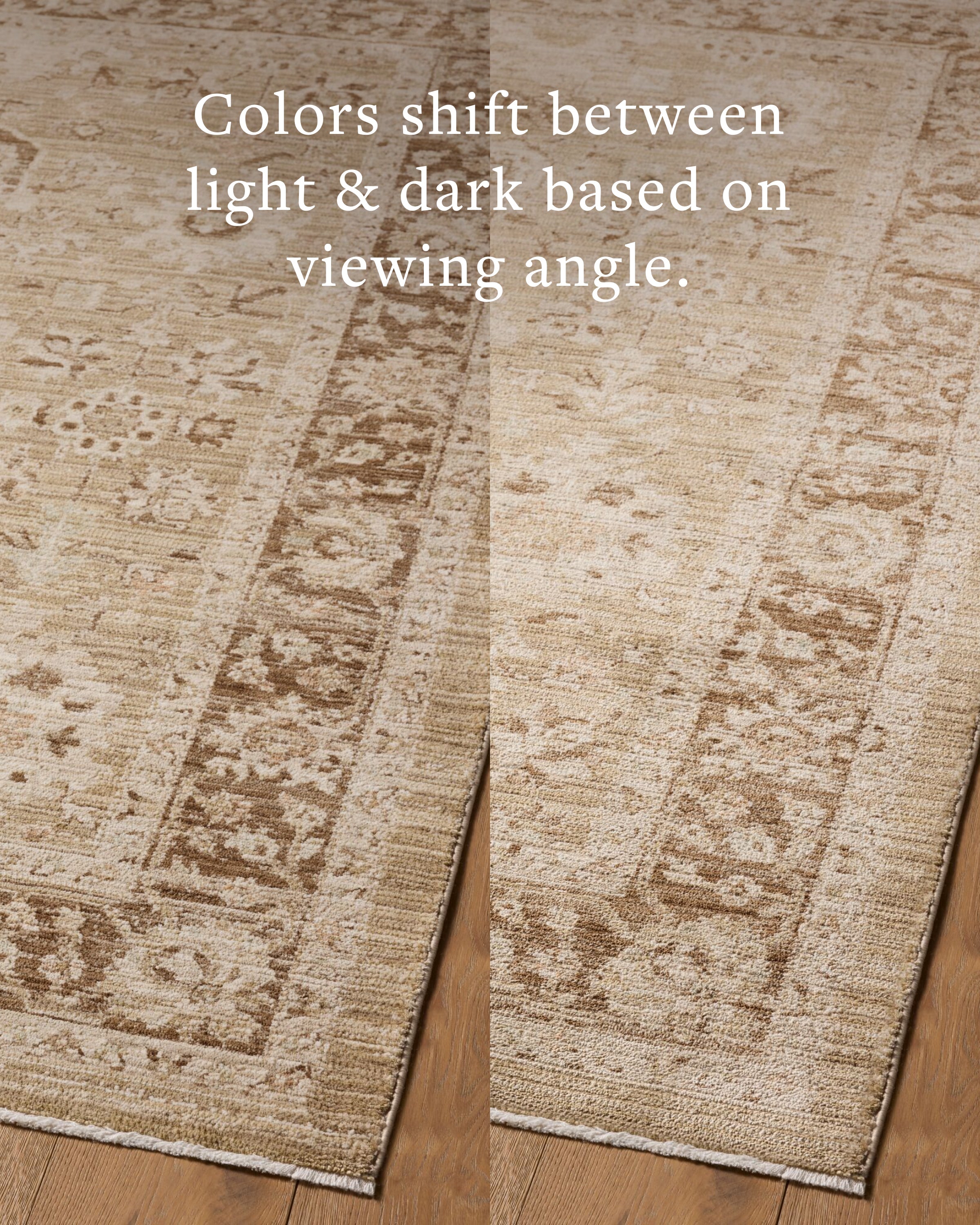 Amber Lewis x Loloi Rutherford Bark / Khaki Rug – 7