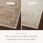 Loloi Sonnet Apricot / Multi Rug RUGS - synthetic Loloi