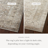 FLOOR MODEL - Loloi Sonnet Grey / Sage Rug - 11'6" x 15'