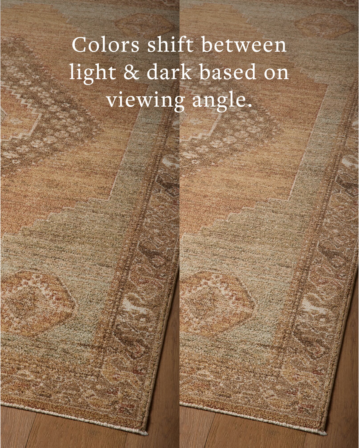 Magnolia Home x Loloi Storrie Brown / Multi Rug - Rug & Weave