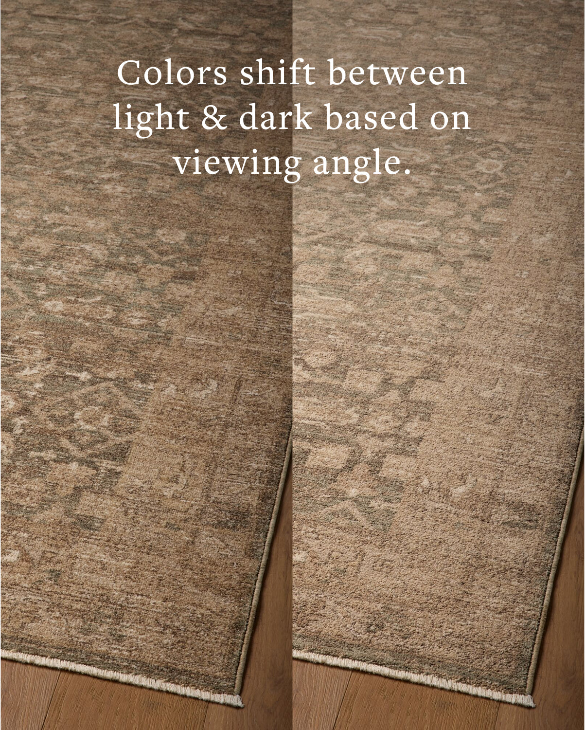 Magnolia Home x Loloi Storrie Lagoon / Earth Rug - Rug & Weave