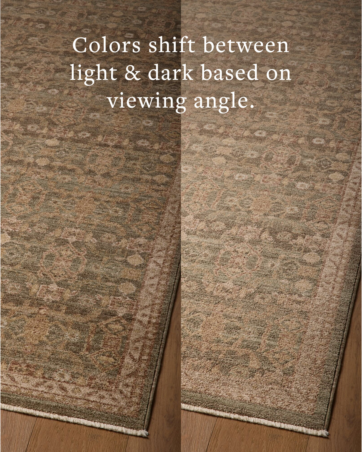 Magnolia Home x Loloi Storrie Lagoon / Spice Rug - Rug & Weave