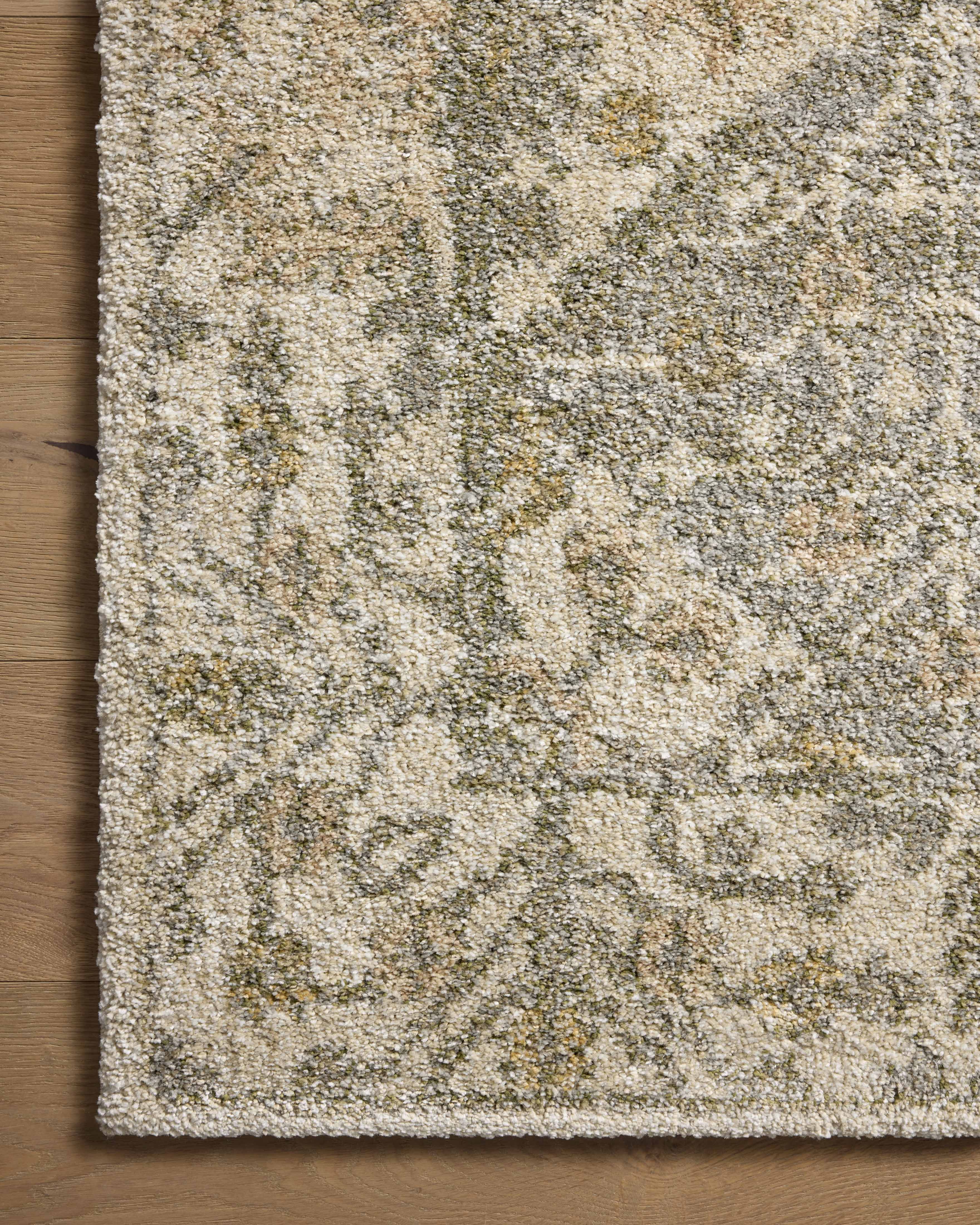 Loloi Tamryn Beige / Multi Rug Loloi