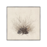 "Coral Sea Fan" Framed Art Print ARTWORK - framed print Celadon Art
