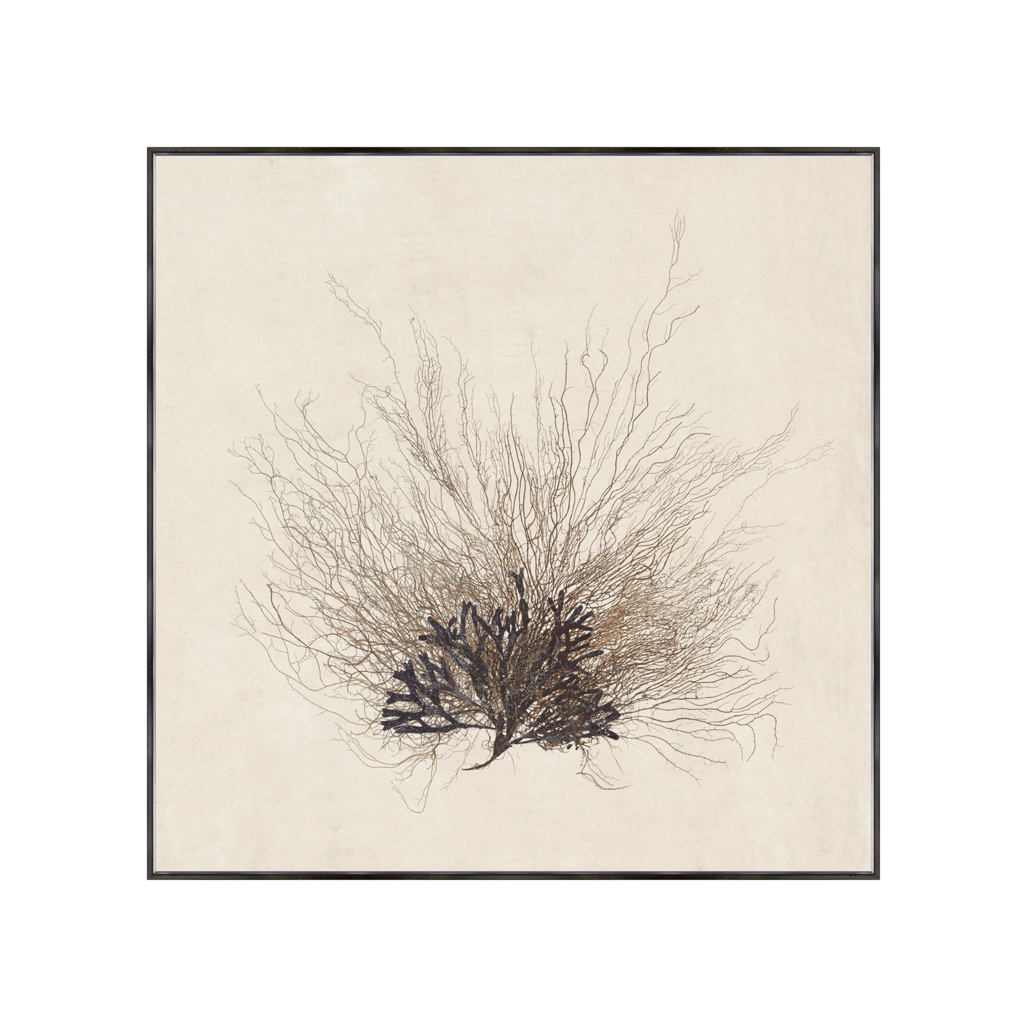 "Coral Sea Fan" Framed Art Print ARTWORK - framed print Celadon Art