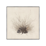 "Coral Sea Fan" Framed Art Print ARTWORK - framed print Celadon Art