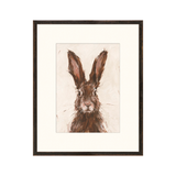 "Brown Hare" Framed Art Print