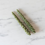 Tree Shaped Taper Candles - Evergreen - Rug & Weave