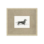 "Canine Heirloom" Framed Art Print ARTWORK - framed art Wendover Art Group Canine Heirloom 3