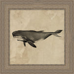 "Deep Sea Whale" Framed Art Print ARTWORK - framed art Wendover Art Group