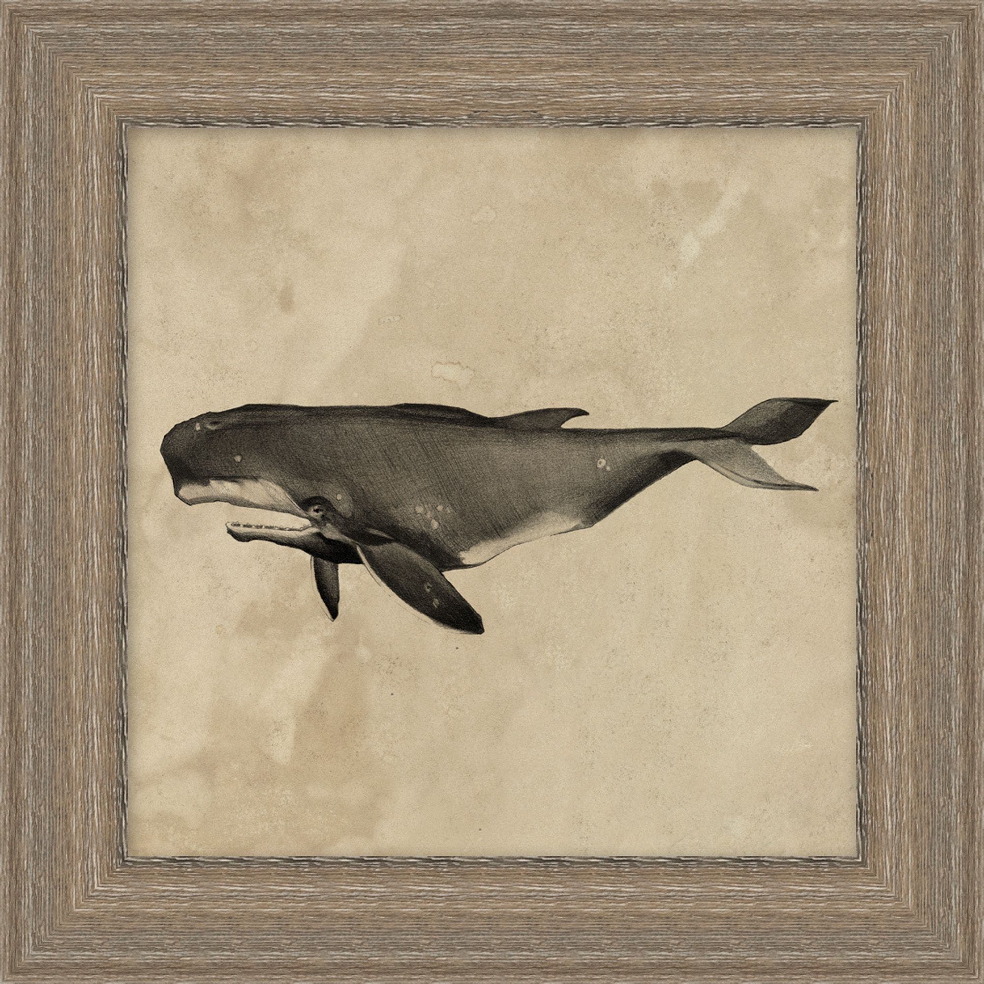 "Deep Sea Whale" Framed Art Print ARTWORK - framed art Wendover Art Group