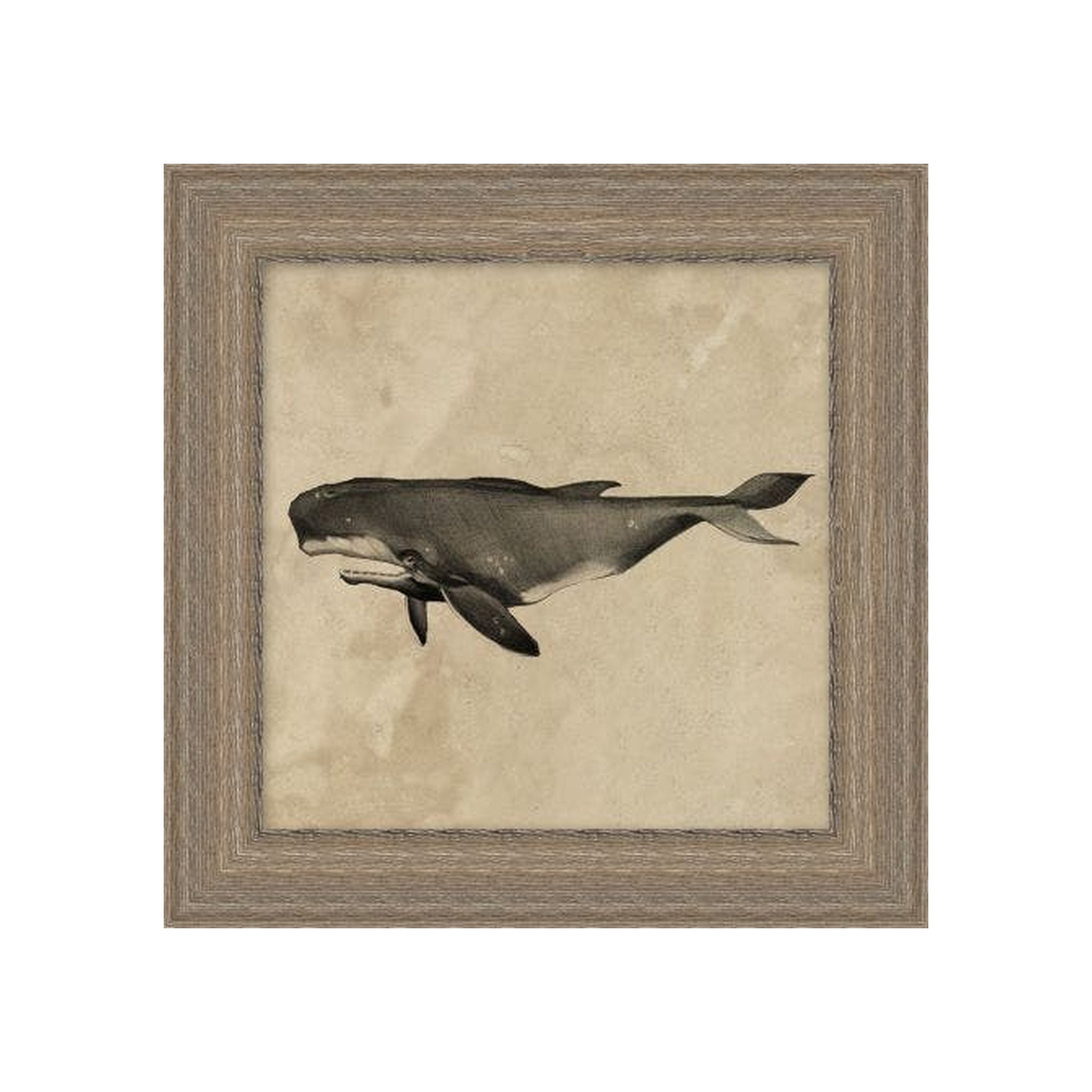 "The Old Whale" Framed Art Print