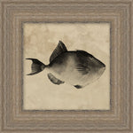 "Deep Sea Trigger Fish" Framed Art Print ARTWORK - framed art Wendover Art Group