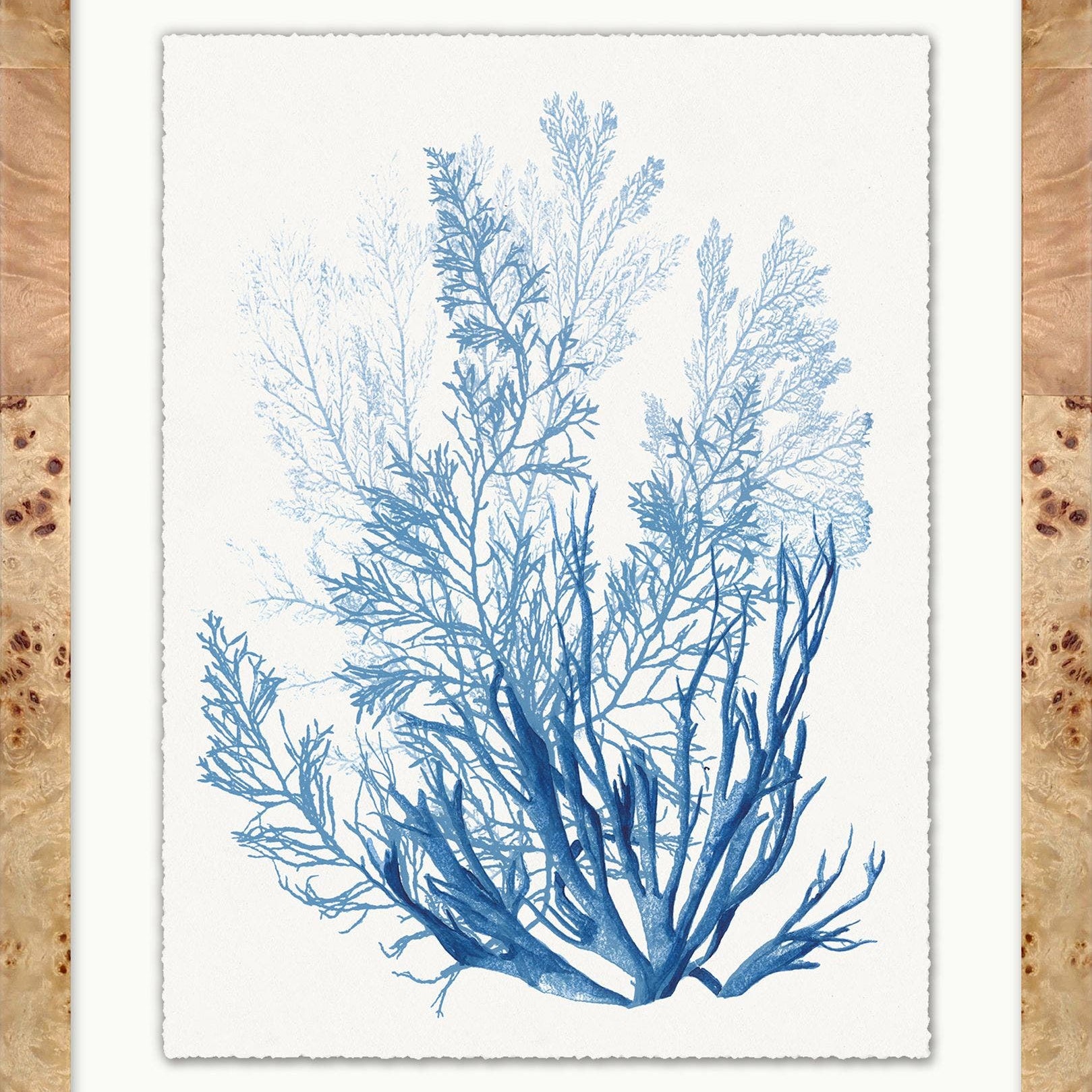"Coral in Blue" Framed Art Print ARTWORK - framed art Wendover Art Group