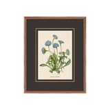 Figures of Flora 3 ARTWORK - framed art Wendover Art Group