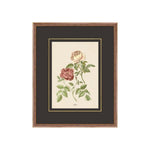 Figures of Flora 5 ARTWORK - framed art Wendover Art Group