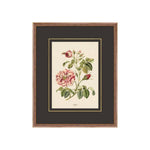 Figures of Flora 8 ARTWORK - framed art Wendover Art Group