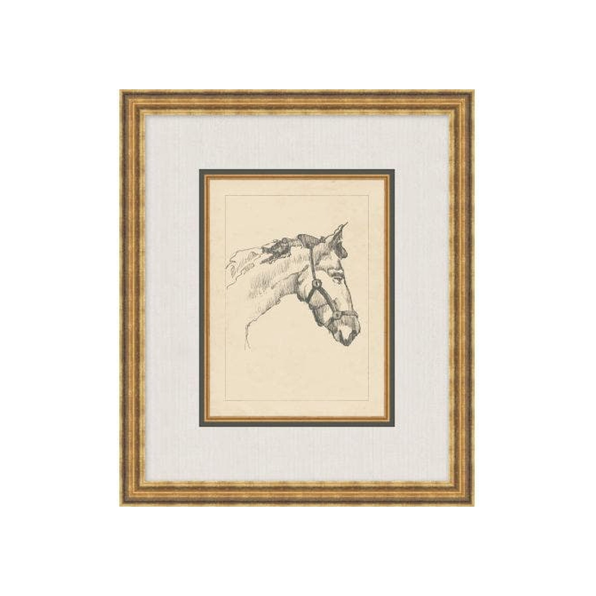Equine Lines 1 ARTWORK - framed art Wendover Art Group