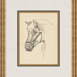 "Equine Sketch" Framed Art Print ARTWORK - framed art Wendover Art Group
