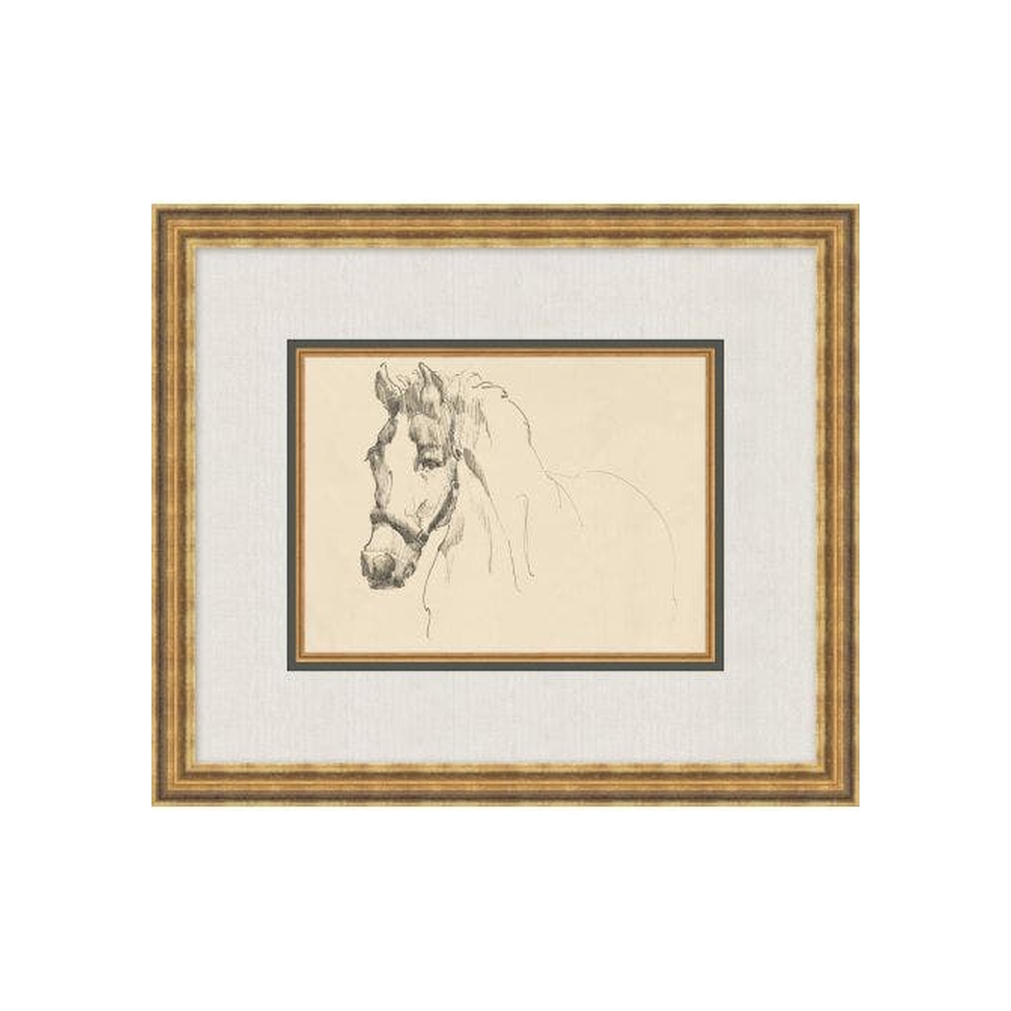 "Equine Sketch" Framed Art Print ARTWORK - framed art Wendover Art Group Equine Sketch IV