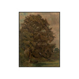 "Ash Field" Framed Art Print ARTWORK - framed art Wendover Art Group