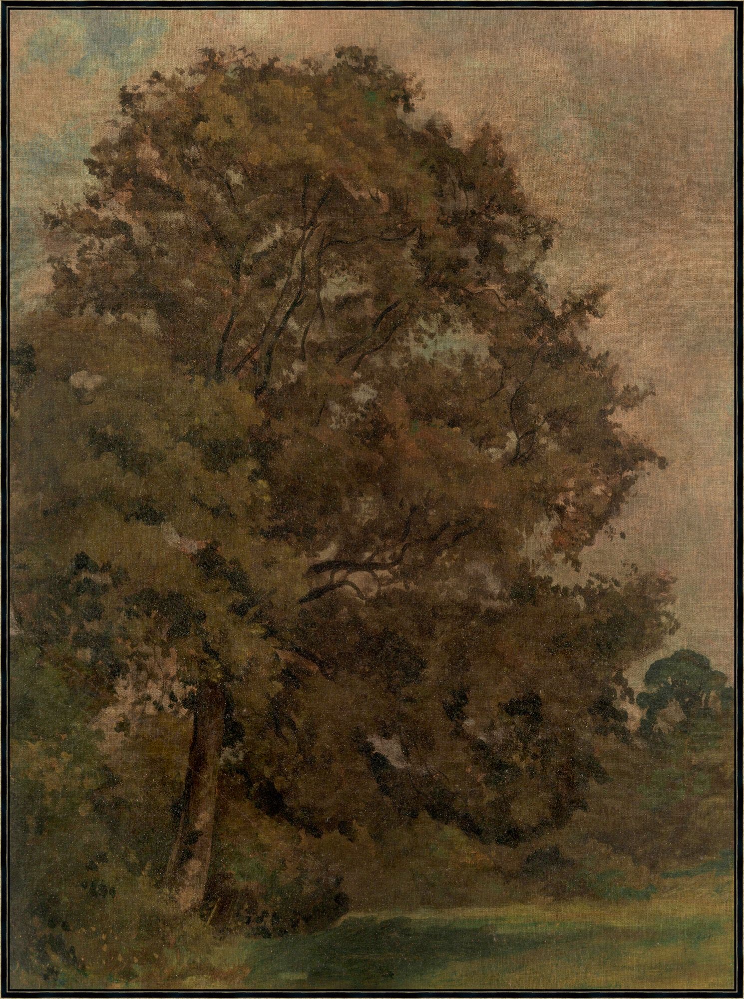 "Ash Field" Framed Art Print ARTWORK - framed art Wendover Art Group