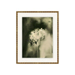 Gravity and Grace 2 ARTWORK - framed art Wendover Art Group