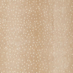 Woodland Antelope Hand Tufted Wool Area Rug RUGS - wool Momeni