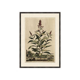 Of Leaf and Line 1 ARTWORK - framed art Wendover Art Group