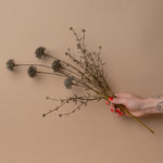 Faux Melaleuca Grey Stem faux stem Abigail Ahern (Aesthetic Movement)