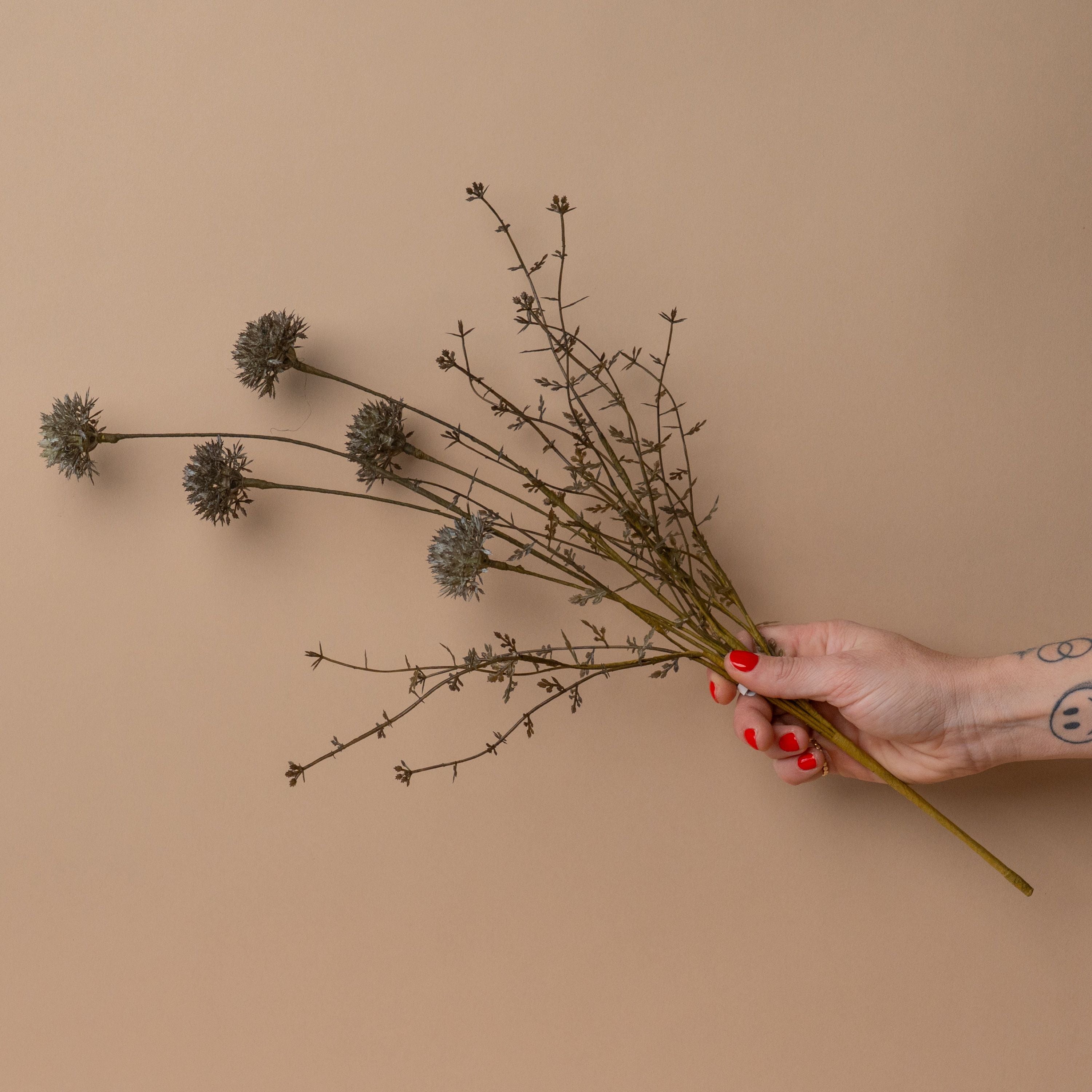 Faux Melaleuca Grey Stem faux stem Abigail Ahern (Aesthetic Movement)