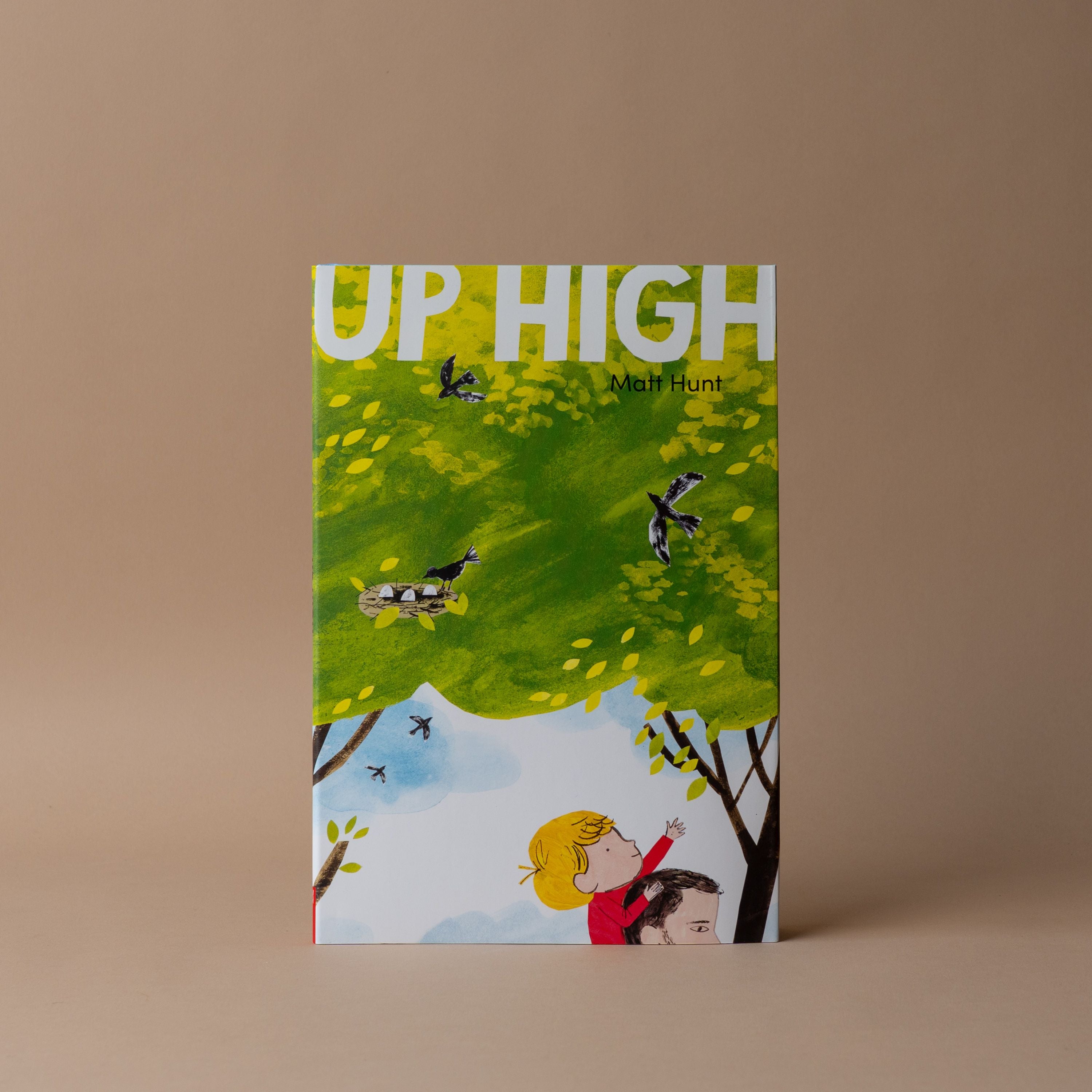 "Up High" by Matt Hunt FINNBIRD - book Hachette Book Group