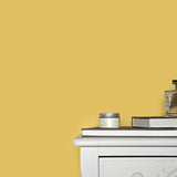 Farrow & Ball Ciara Yellow No. 73 - Archive Collection