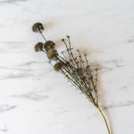 Faux Melaleuca Grey Stem faux stem Abigail Ahern (Aesthetic Movement)