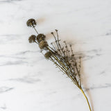 Faux Melaleuca Grey Stem faux stem Abigail Ahern (Aesthetic Movement)