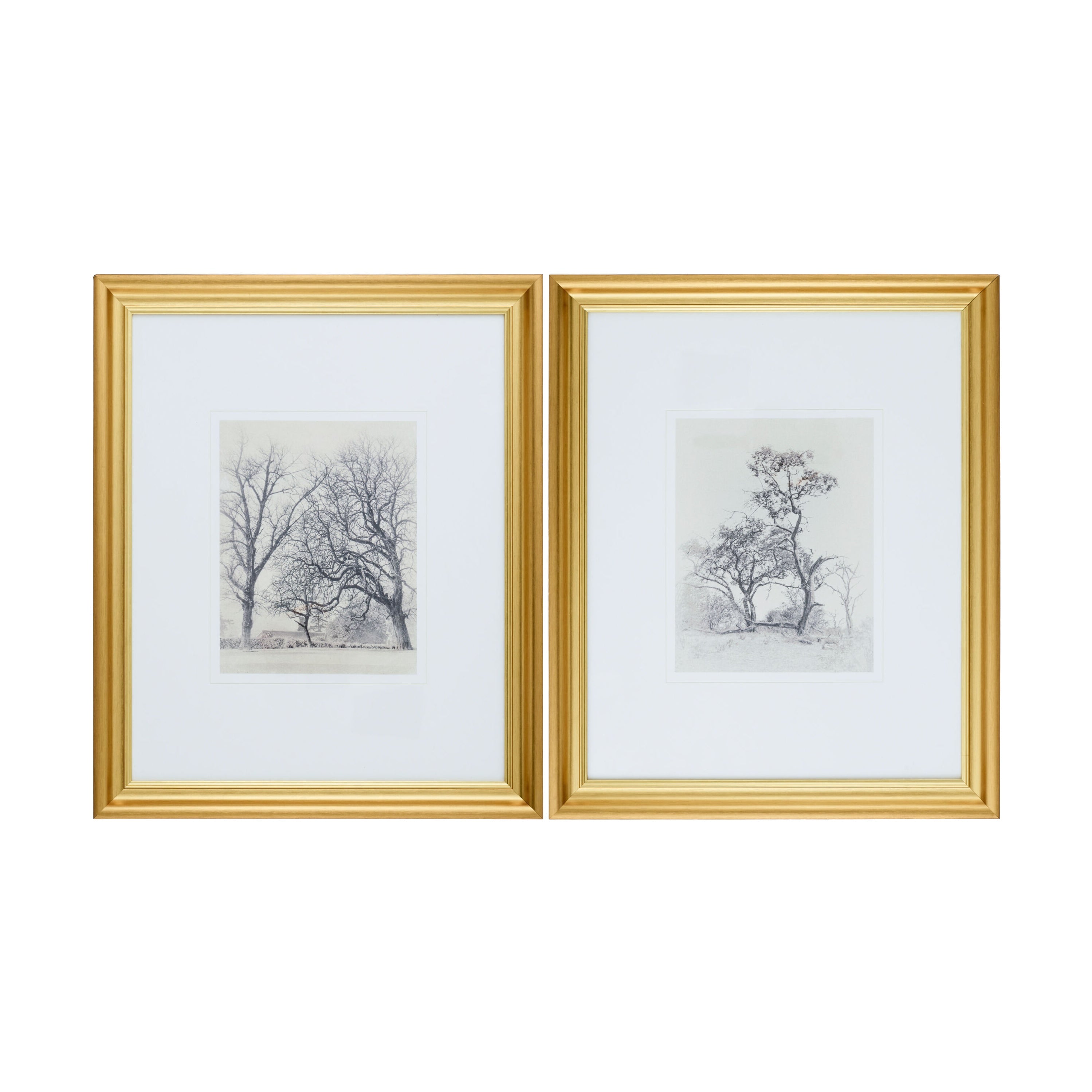 Coconino Framed Art ART - Framed Art Surya