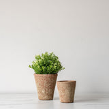 Textured Terracotta Planter - Rug & Weave