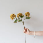 Faux Golden Guelder Rose Stem - Rug & Weave