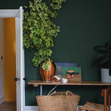 Farrow & Ball Duck Green No. W55 - Archive Collection