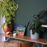 Farrow & Ball Duck Green No. W55 - Archive Collection