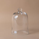 Bell Shaped Glass Cloche - Rug & Weave