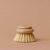 Classic Dish Brush Replacement Head dish brush refill No Tox Life (Faire)