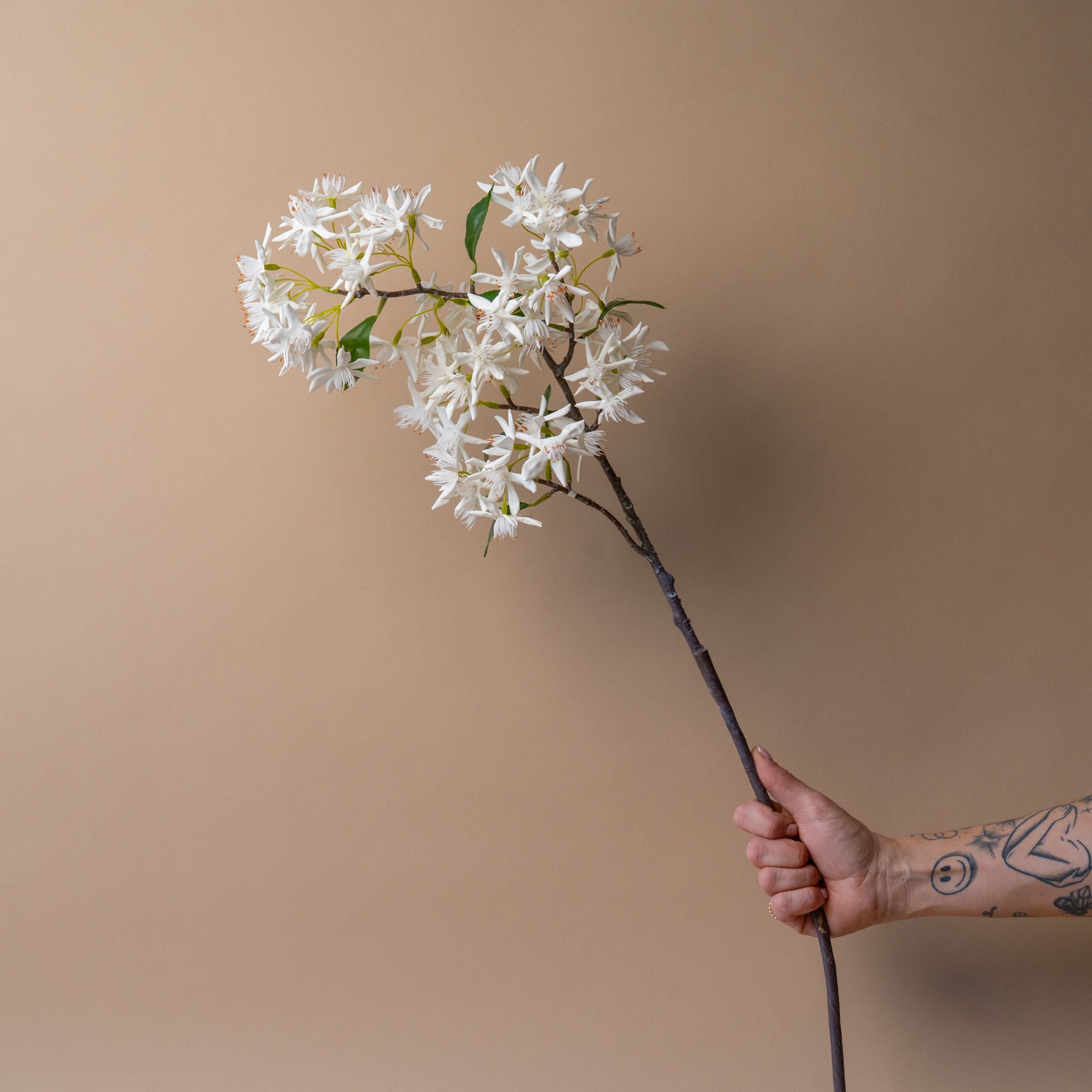 Faux Star Magnolia Branch