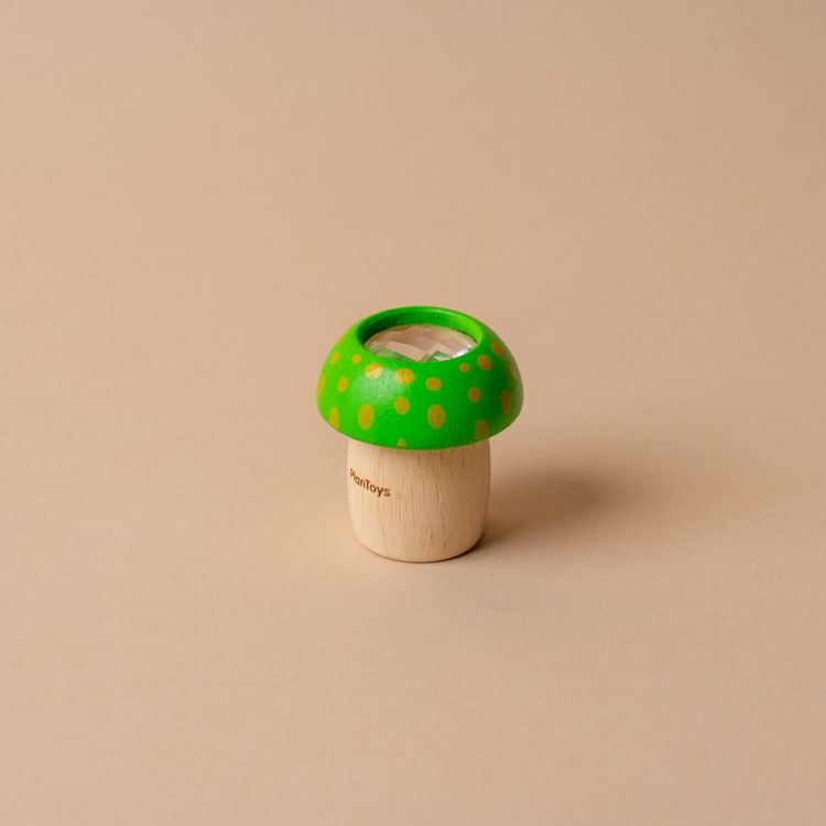 Mushroom Kaleidoscope