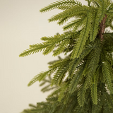 Faux Weeping Norfolk Pine Tree