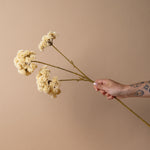 Faux Cream Pom Pom Spray faux stem Indaba